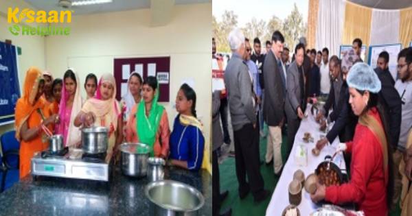 डेयरी में उद्यमिता के मामले में महिला स्वयं सहायता समूह(Women Self Help Groups) सबसे आगे डेयरी में उद्यमिता के मामले में महिला स्वयं सहायता समूह(Women Self Help Groups) सबसे आगे